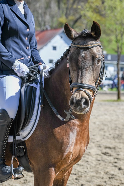 巴列卡诺客队更衣室设施简陋，波兰球队波兹南莱赫发视频吐槽