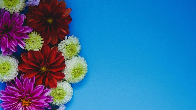 东道主签运不错 法国队遭遇强敌 美加墨世界杯分组抽签结果揭晓